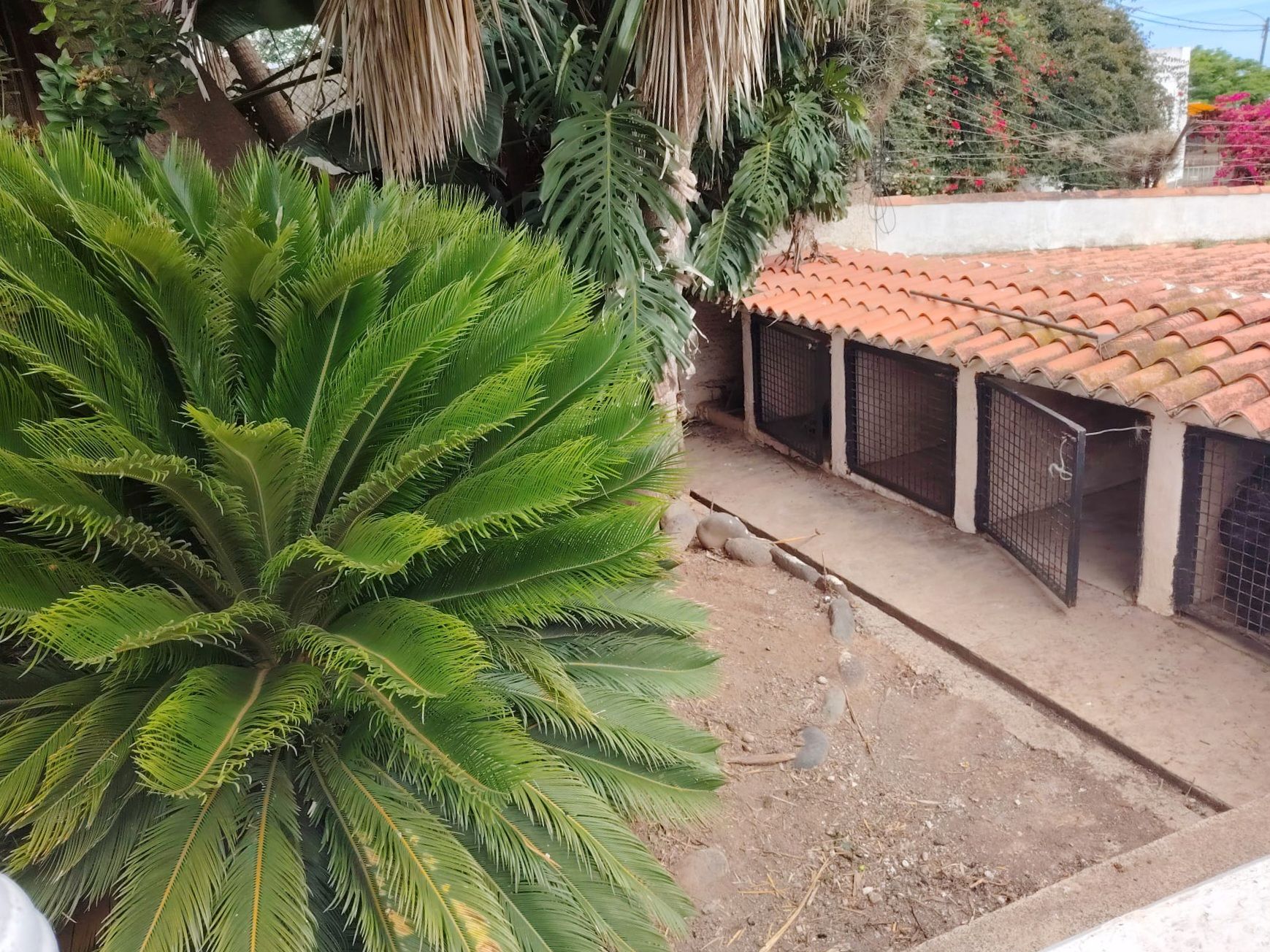 Vista exterior de Finca rústica en venta en Arucas con Jardín privado y Terraza