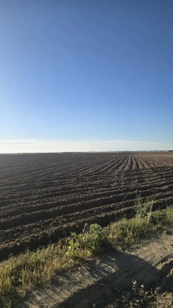 Terreno rustico in vendita a Ontígola, imagen 10