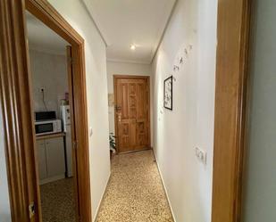 Planta baja to rent in Centro Ciudad