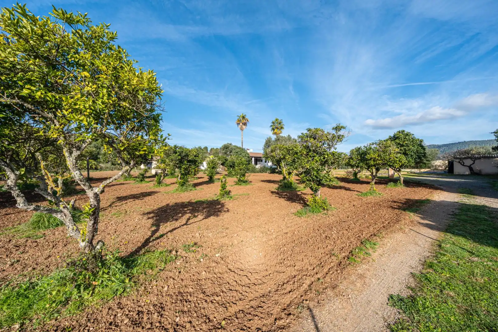 Haus oder Chalet zum Verkauf in Son Servera mit Klimaanlage, Heizung und Privatgarten