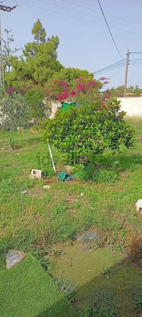 Terreno residenziale in vendita a La Huerta, imagen 7