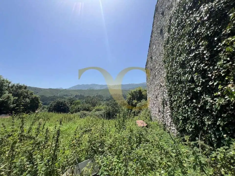 Casa con jardín en venta en San Roque del Acebal, imagen 7