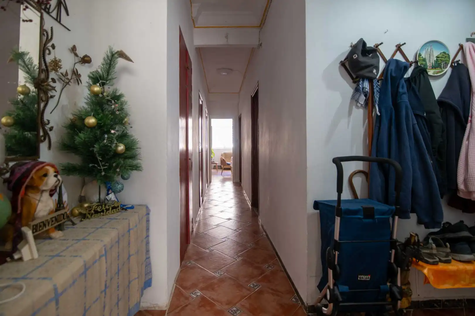 Piso con ascensor en venta en Carrer de Lluís Oliag, imagen 20