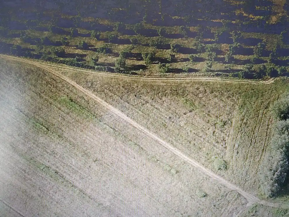 Terreno rustico in vendita a Cr Mairena-Almensilla, imagen 6