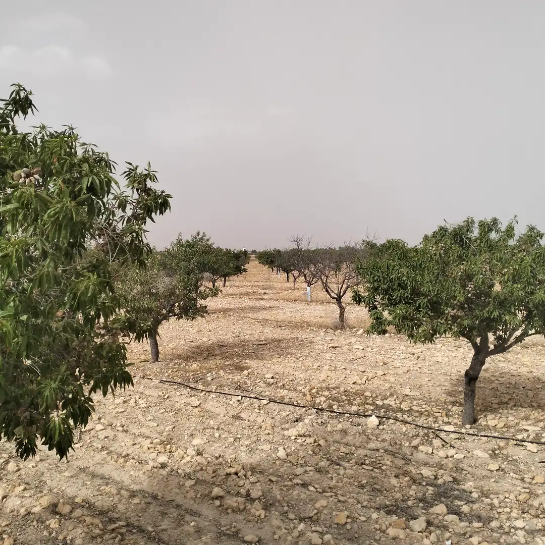Grundstücke zum Verkauf in Albacete