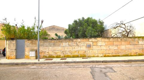 Solar en Muro