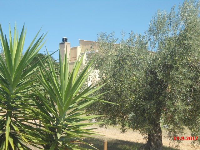 Flat for sale in Riudecanyes