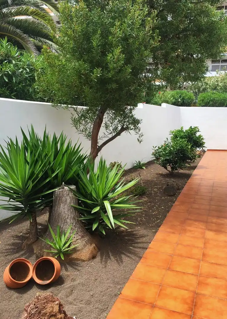 Garden of Flat for rent in Puerto de la Cruz  with Furnished and Community pool