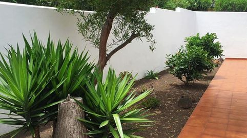 Foto 2 von Wohnung zur Miete in Zona Botánico, Puerto de la Cruz