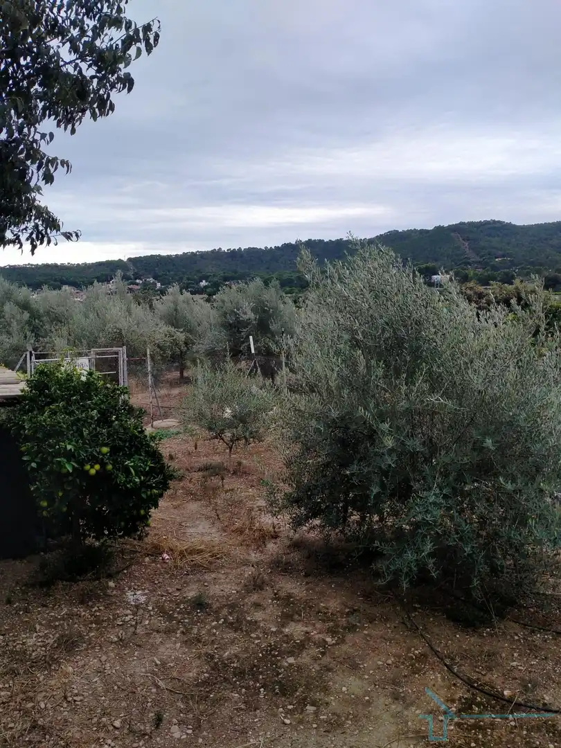 Terrains et parcelles à vendre à Gilet, imagen 3