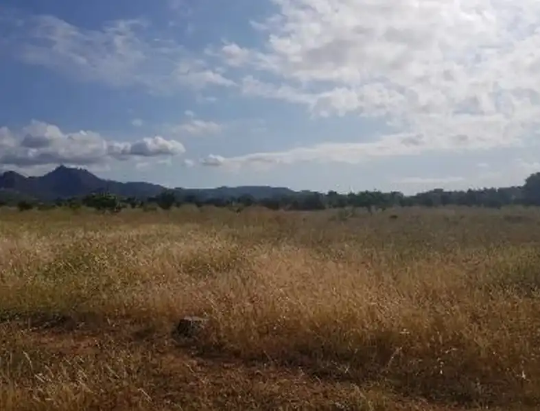 Wohnbaugrundstück zum Verkauf in Benicasim Golf, imagen 4