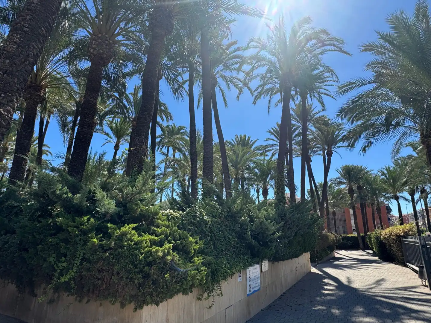 Wohnung mit Terrasse zum Verkauf in Santa Pola ciudad, imagen 52