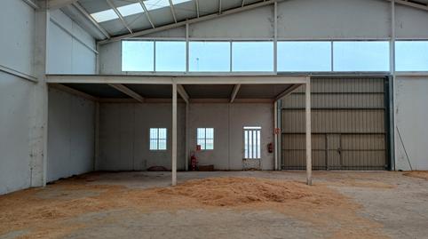 Foto 3 von Fabrikhallen zur Miete in Pedanías - Extrarradio,  Albacete Capital