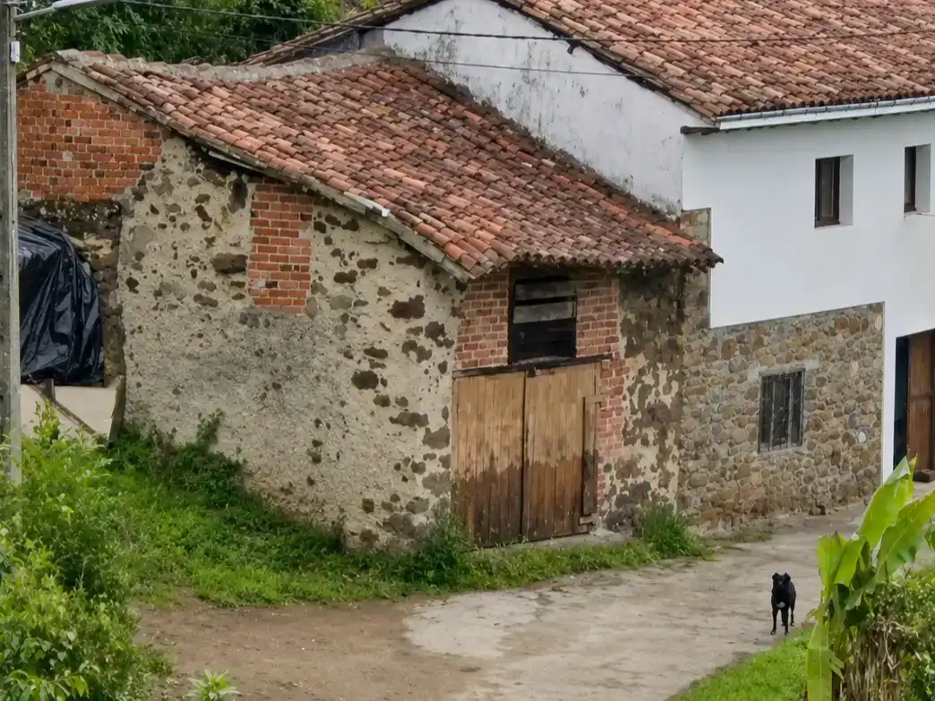 Vista exterior de Finca rústica en venda en Villaviciosa