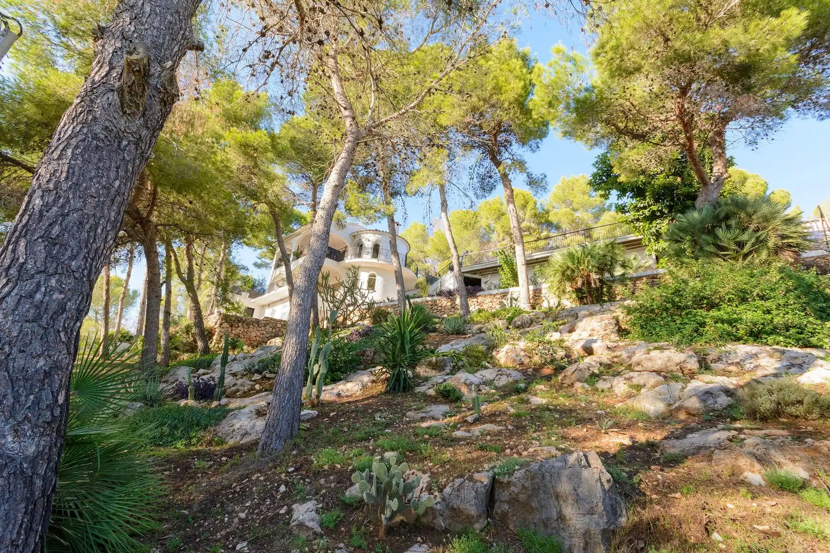Jardín de Casa o chalet en venta en Gandia con Jardín privado, Terraza y Piscina