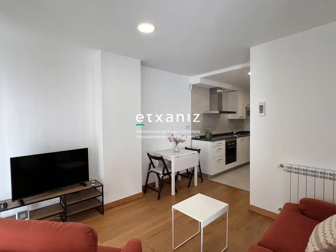 Living room of Flat for rent in Donostia - San Sebastián   with Heating, Terrace and Oven