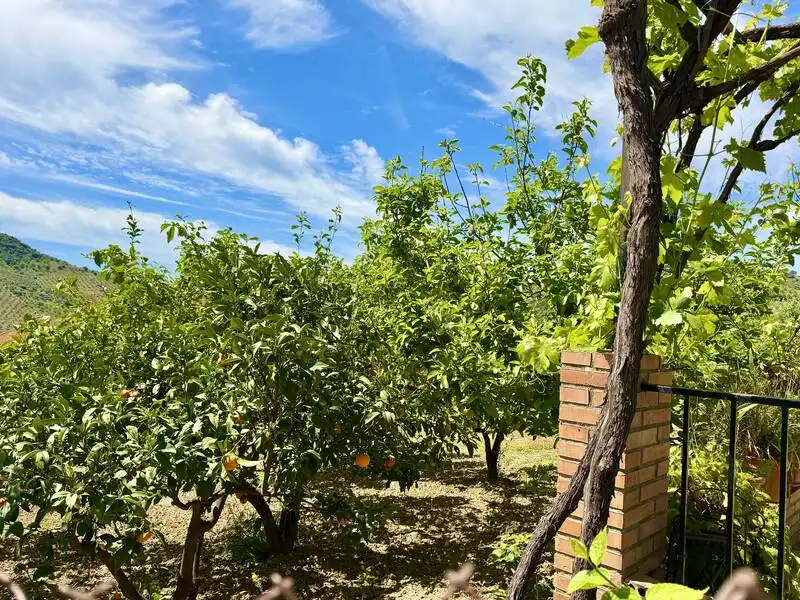 Jardín de Casa o chalet en venta en Alfarnatejo