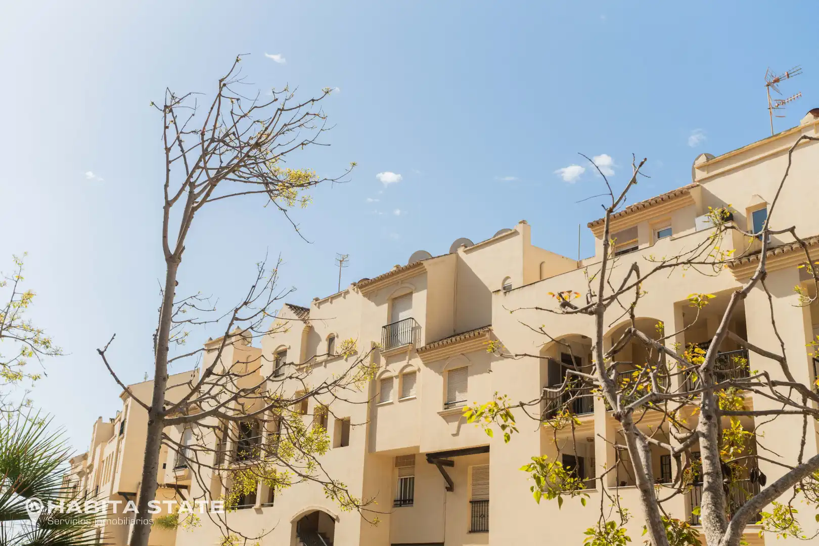 Vista exterior de Apartamento en venta en El Ejido con Terraza, Amueblado y Horno