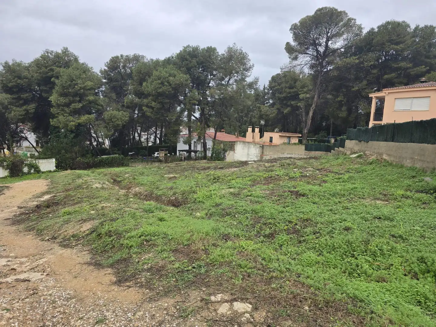Terreny residencial en venda a El Bosque, imagen 2