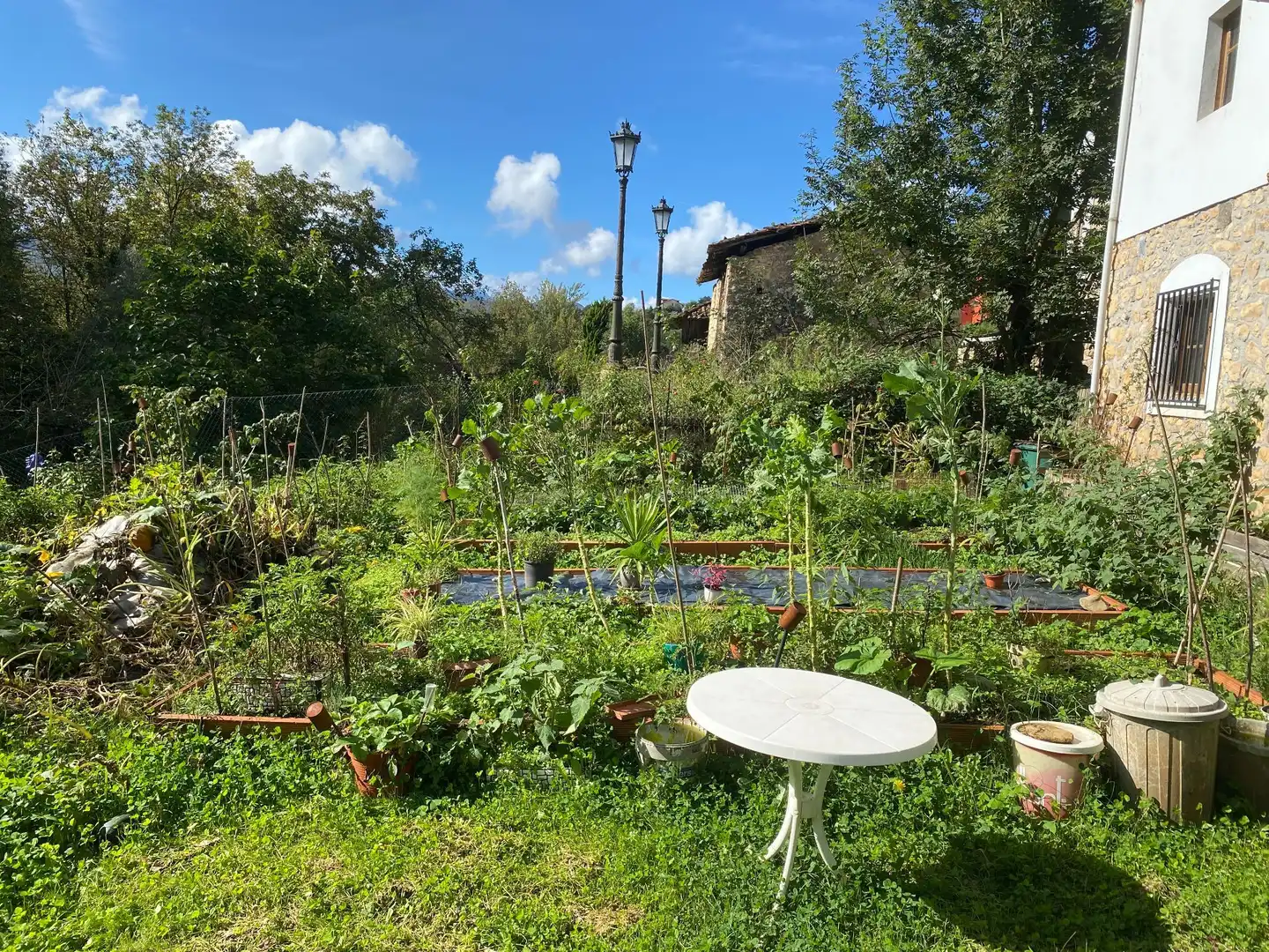Houses for sale in Llenín, Cangas de Onís