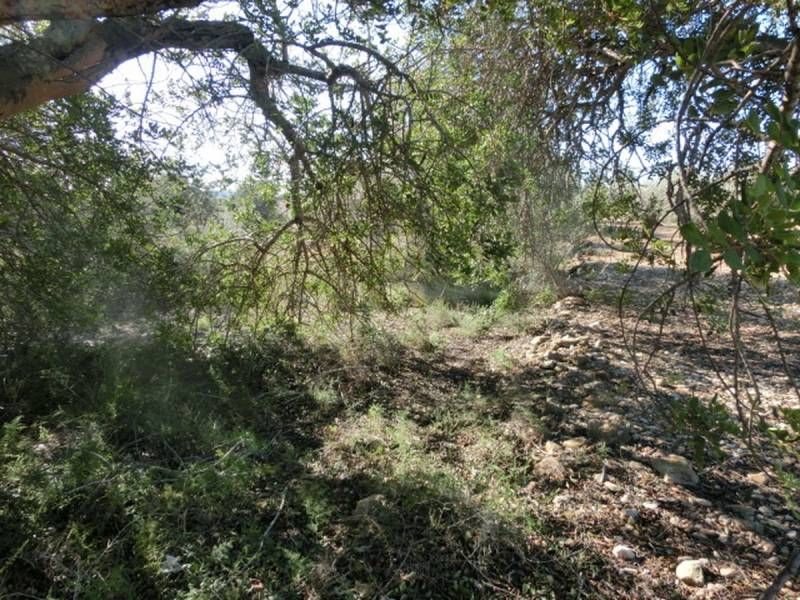 Finca rústica en venta en Alcanar