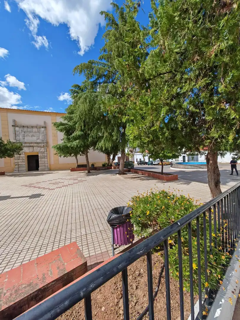 Vista exterior de Casa o chalet en venta en Puebla del Prior con Jardín privado