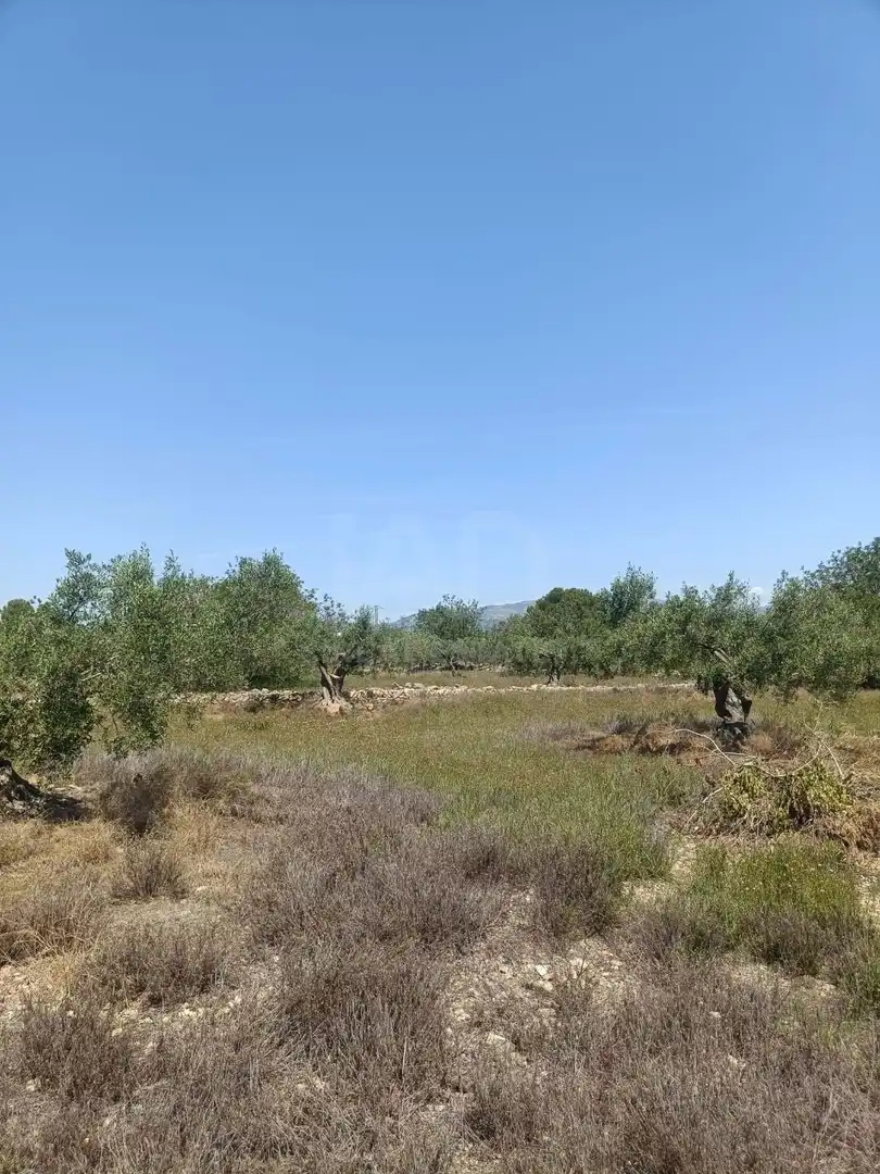 Residencial en venda en L'Ametlla de Mar 