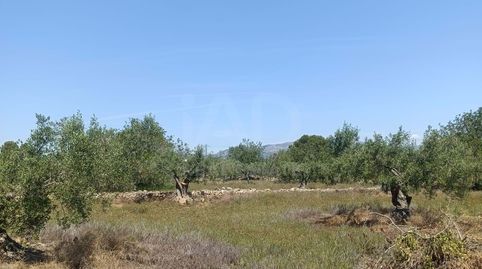 Foto 3 von Residential zum Verkauf in Les Tres Cales, L'Ametlla de Mar