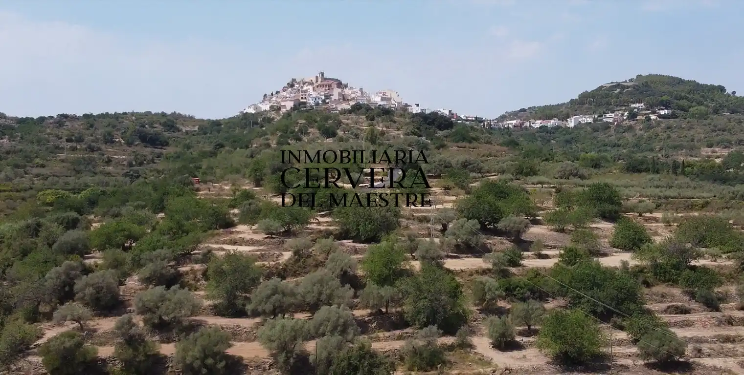 Terreno rustico in vendita a Cervera del Maestre, imagen 14