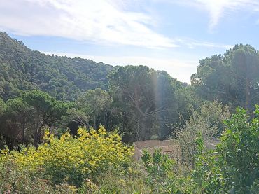 Terreno residencial en venta en Sant Cebrià de Vallalta