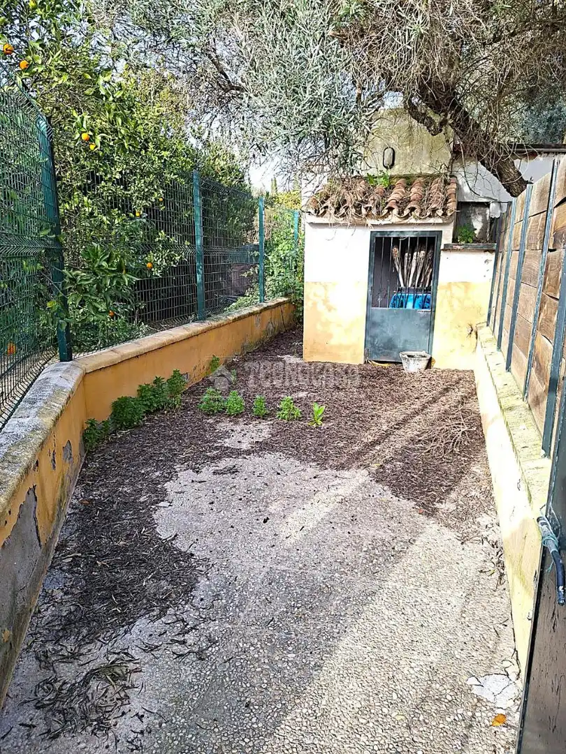 Jardí de Finca rústica en venda en Coria del Río