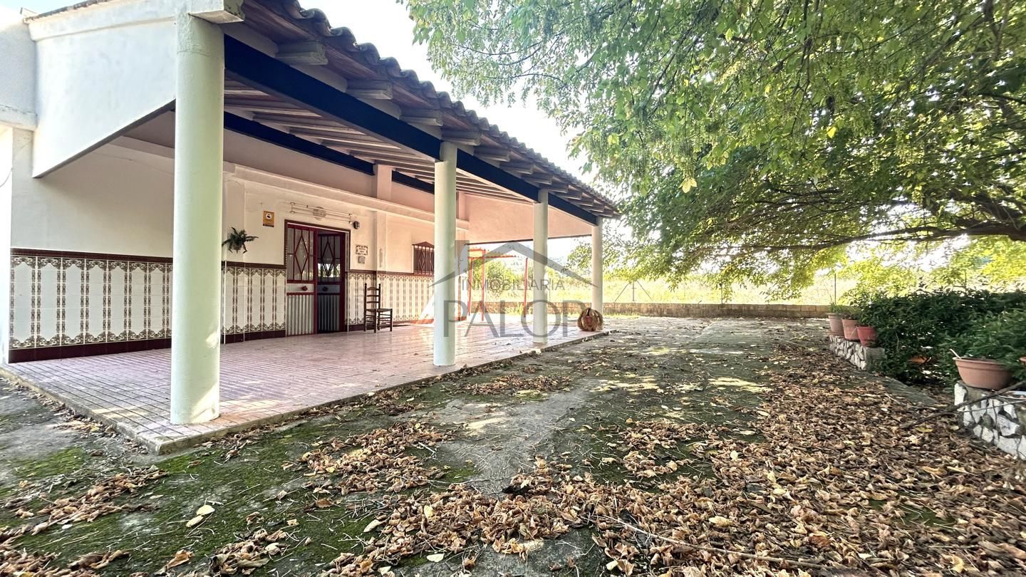Vista exterior de Finca rústica en venda en Alzira amb Jardí privat i Piscina