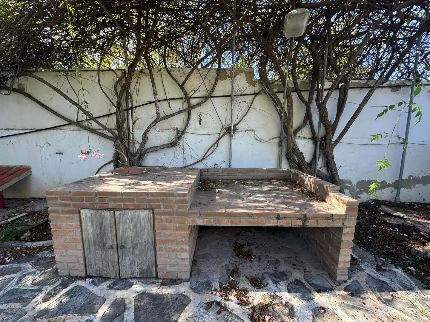 Jardí de Casa o xalet en venda en Alicante / Alacant amb Jardí privat, Terrassa i Piscina