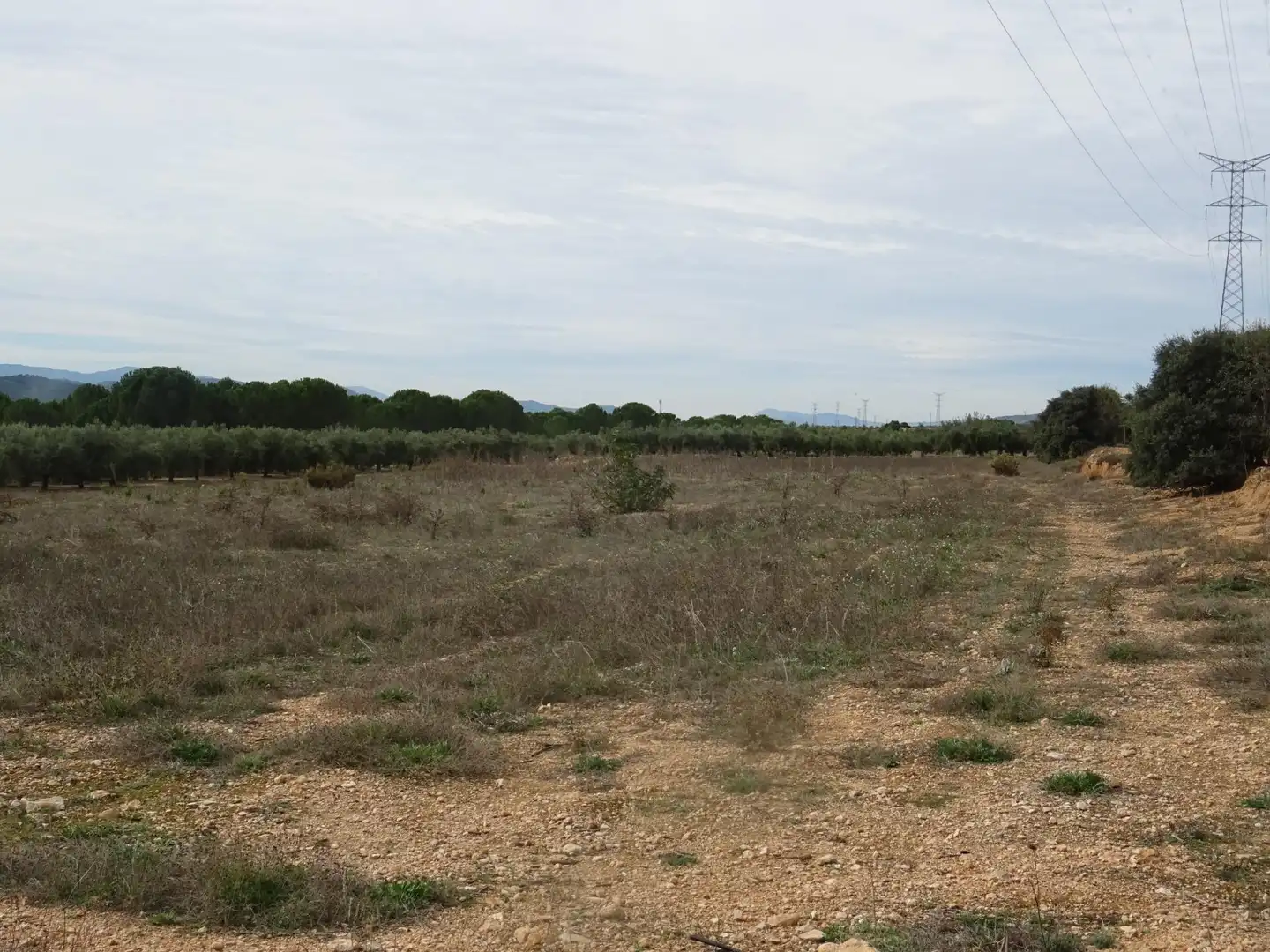 Residential land for sale in Beneixama, imagen 5