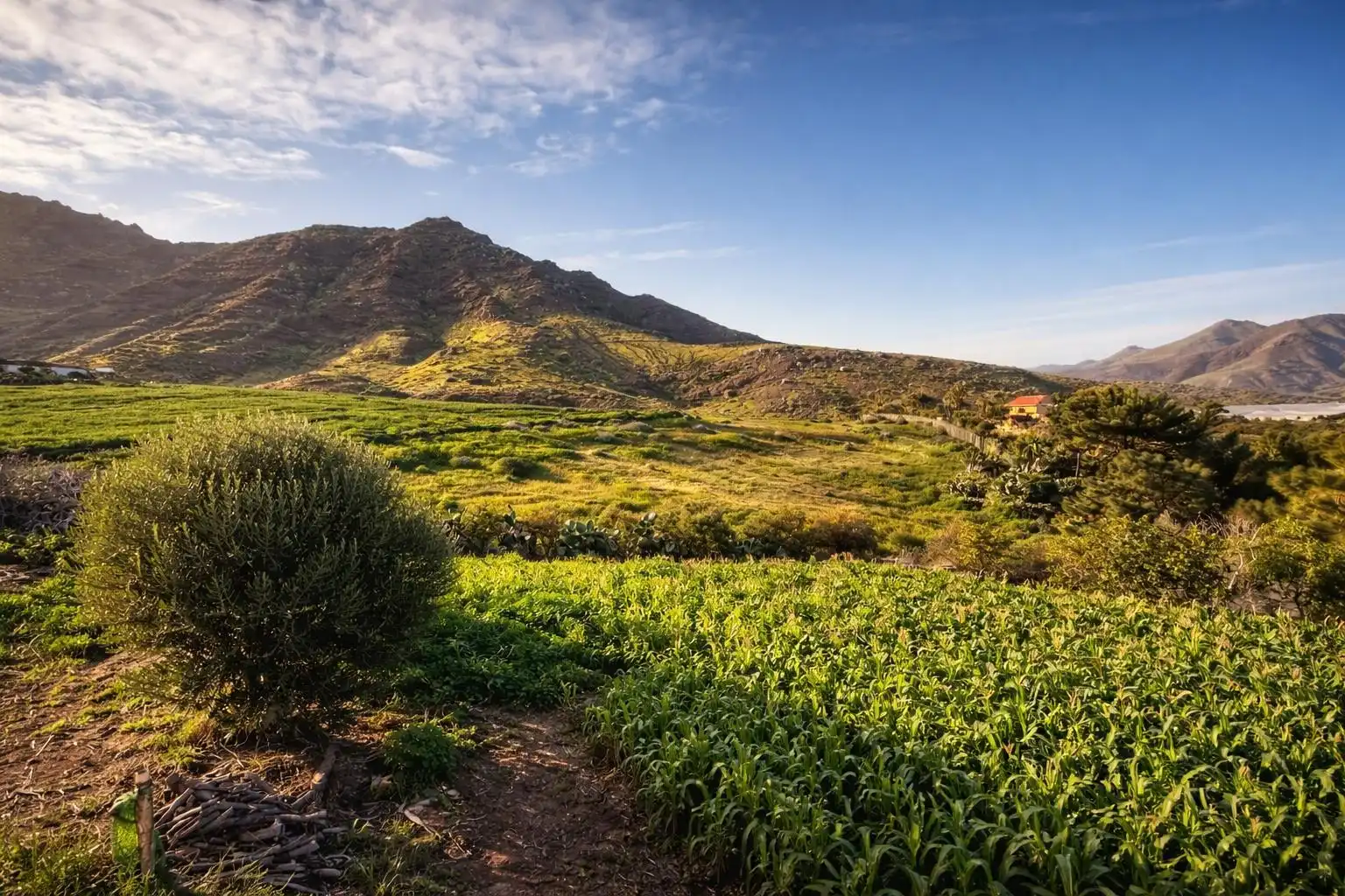 Vista exterior de Casa o chalet en venta en La Aldea de San Nicolás  con Amueblado, Horno y Lavadora