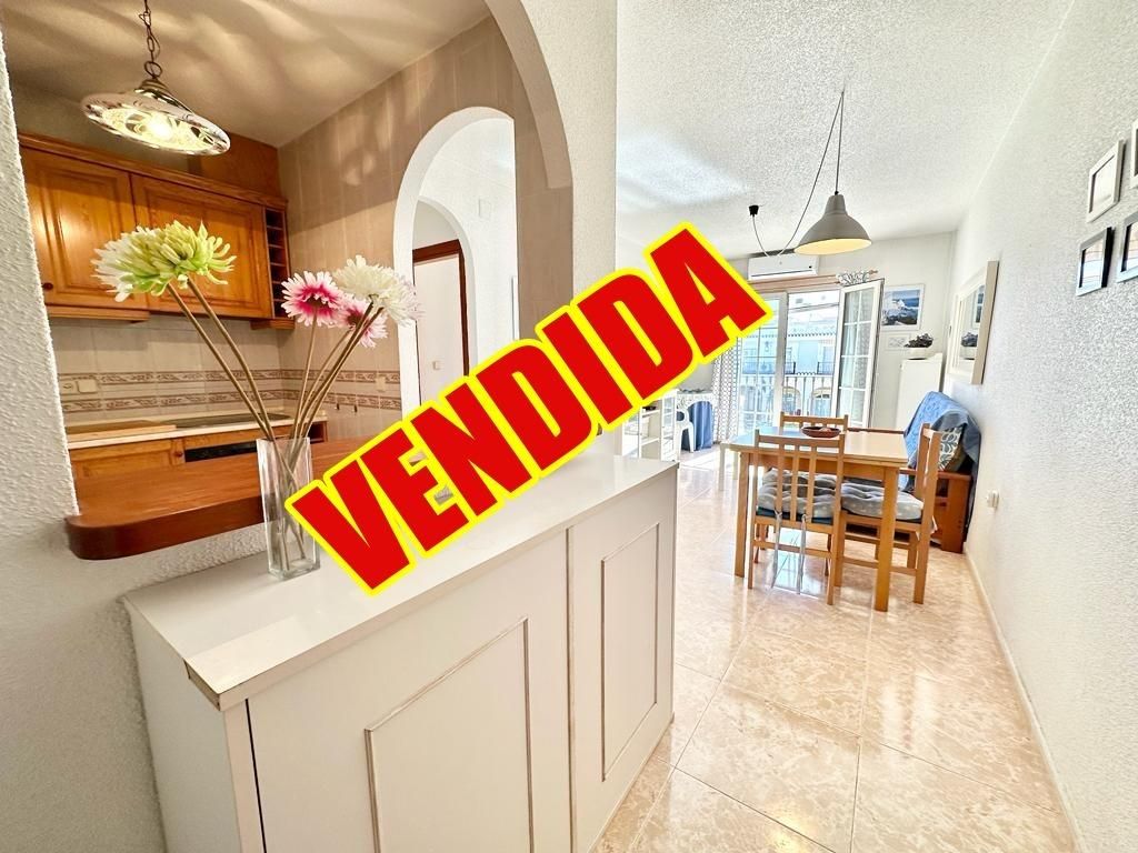Cuina de Pis en venda en Pilar de la Horadada amb Aire condicionat i Terrassa