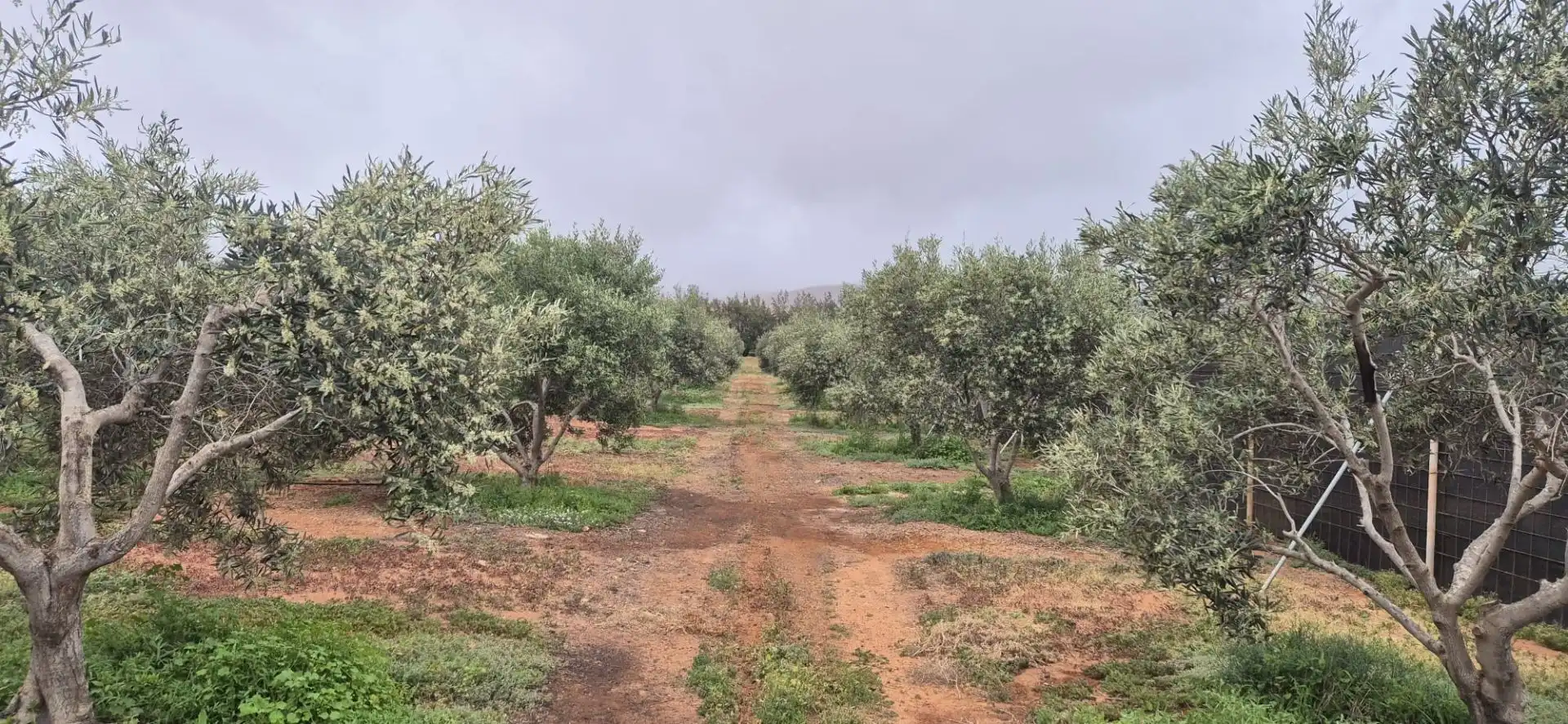 Terreno en venta en Antigua