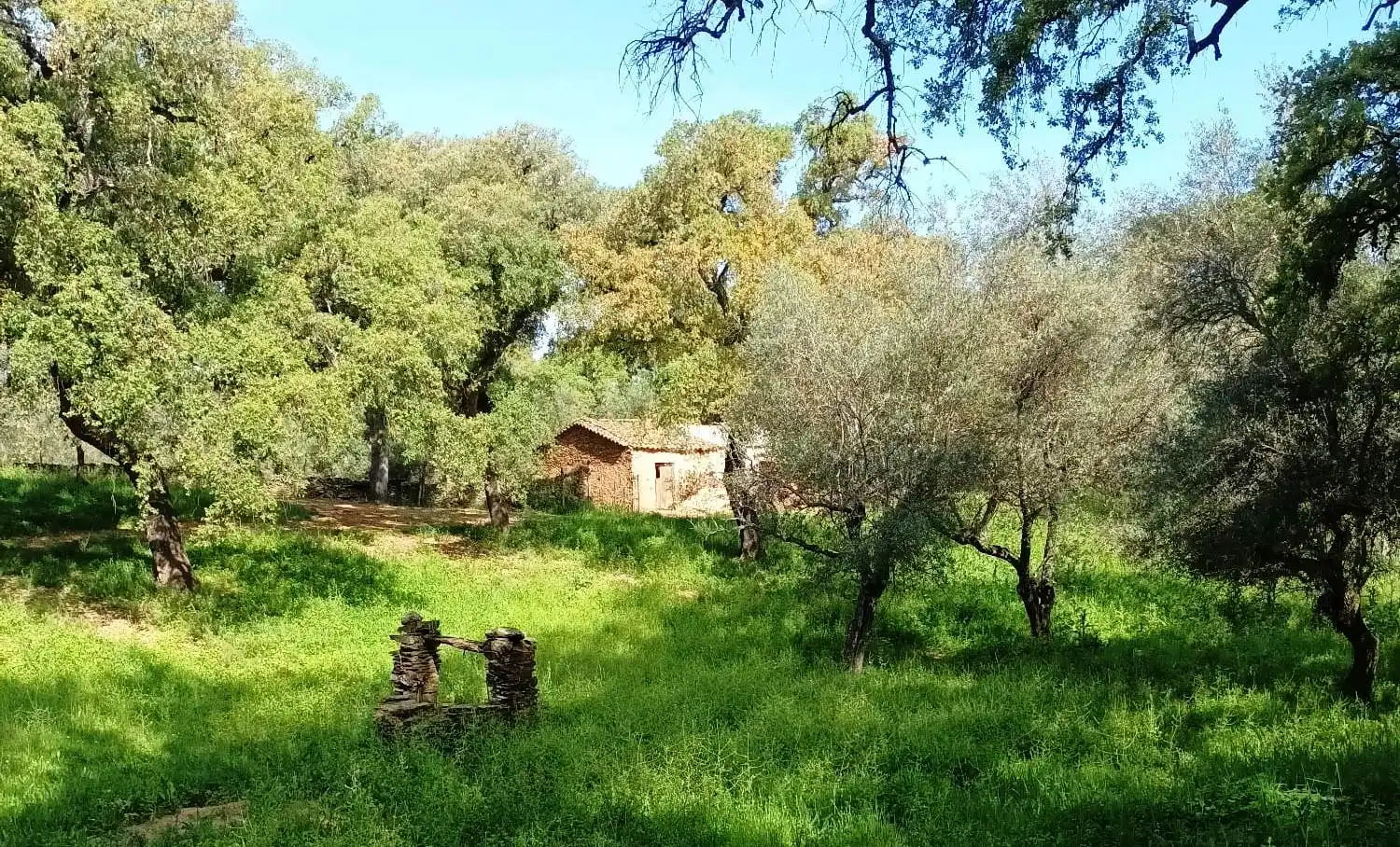 Terreno en venta en Puerto Moral
