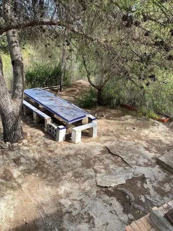 Jardí de Finca rústica en venda en Lorca amb Piscina i Moblat