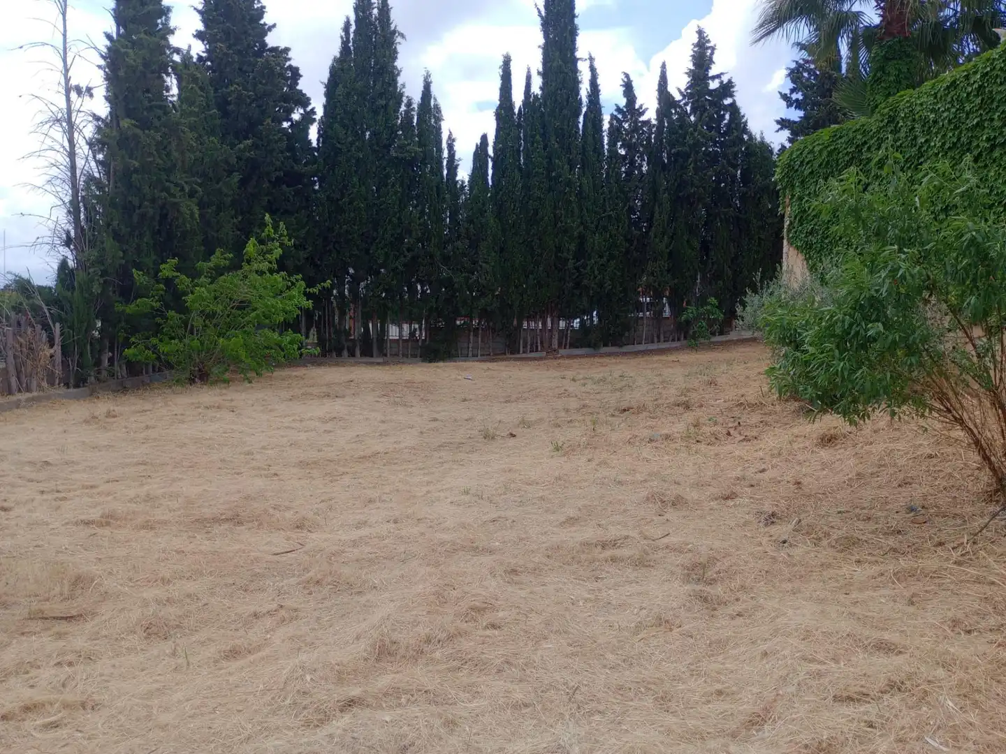 Terreny residencial en venda a Calle Calle Geraneo (Vent), imagen 5