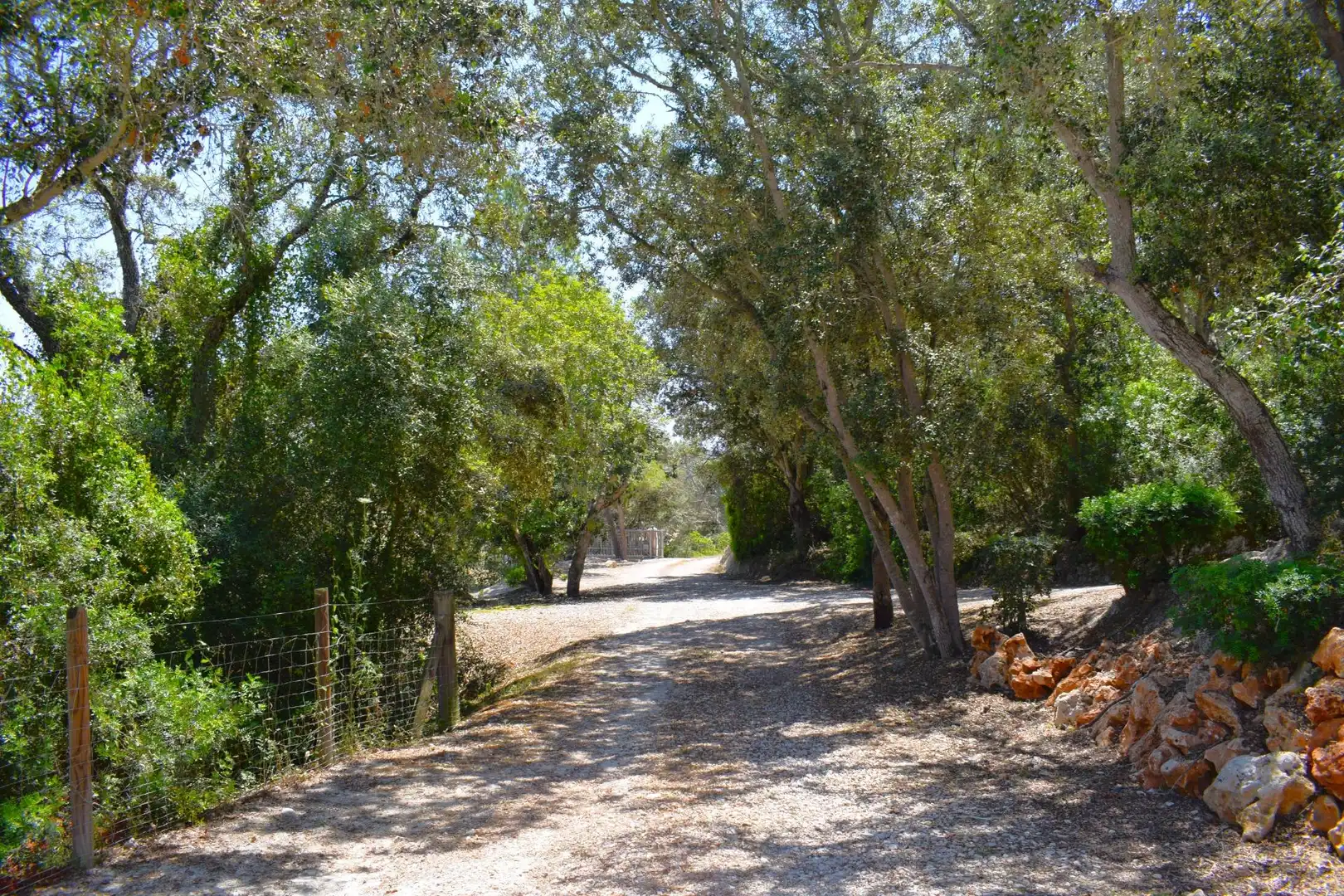 Exterior view of Country homes for rent in Sineu  with Air Conditioner, Private garden and Terrace
