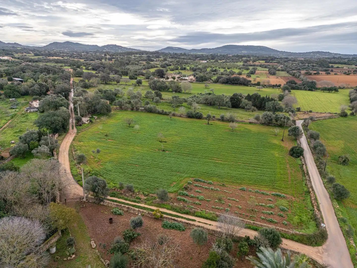 Finca rústica en venda en Felanitx