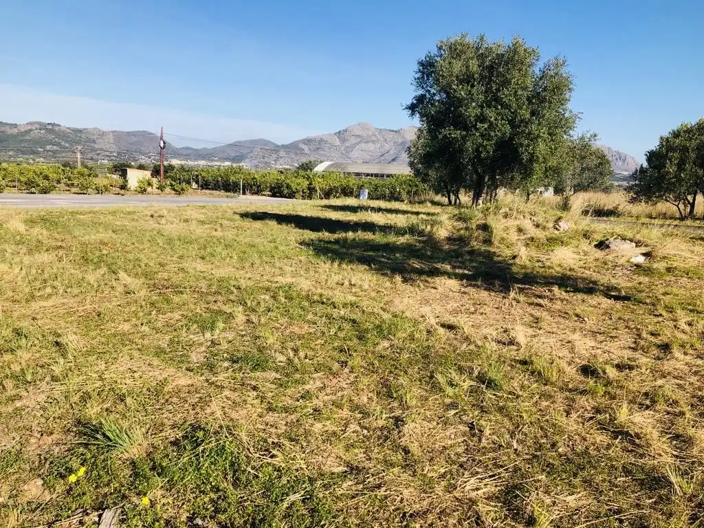 Terreny rústic en venda a Orba, imagen 4