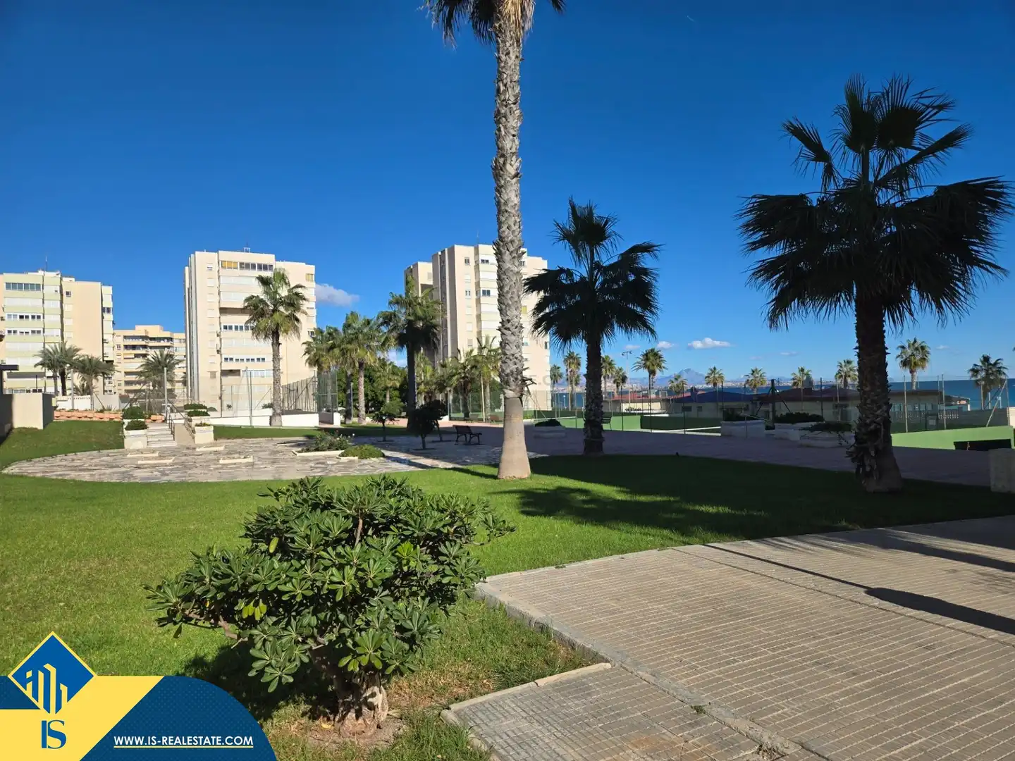 Exterior view of Flat for sale in Alicante / Alacant  with Terrace and Furnished