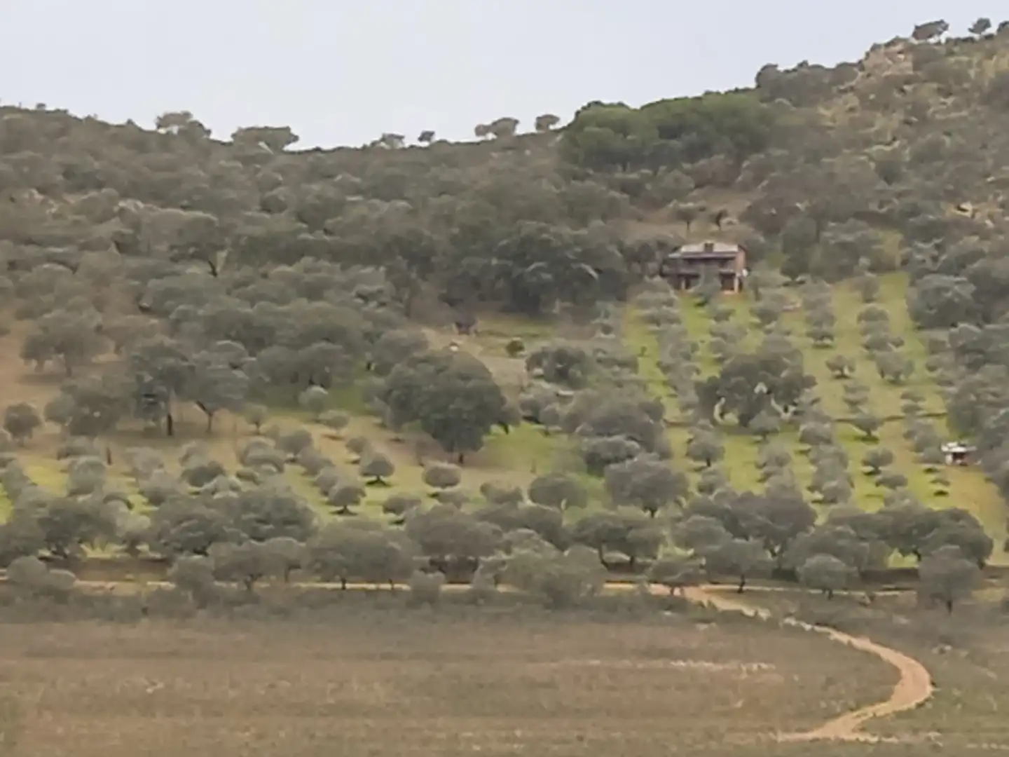 Rustikales Grundstück zum Verkauf in Camino Camino Helechosa polg 14 parcela 50  Matavacas, imagen 3