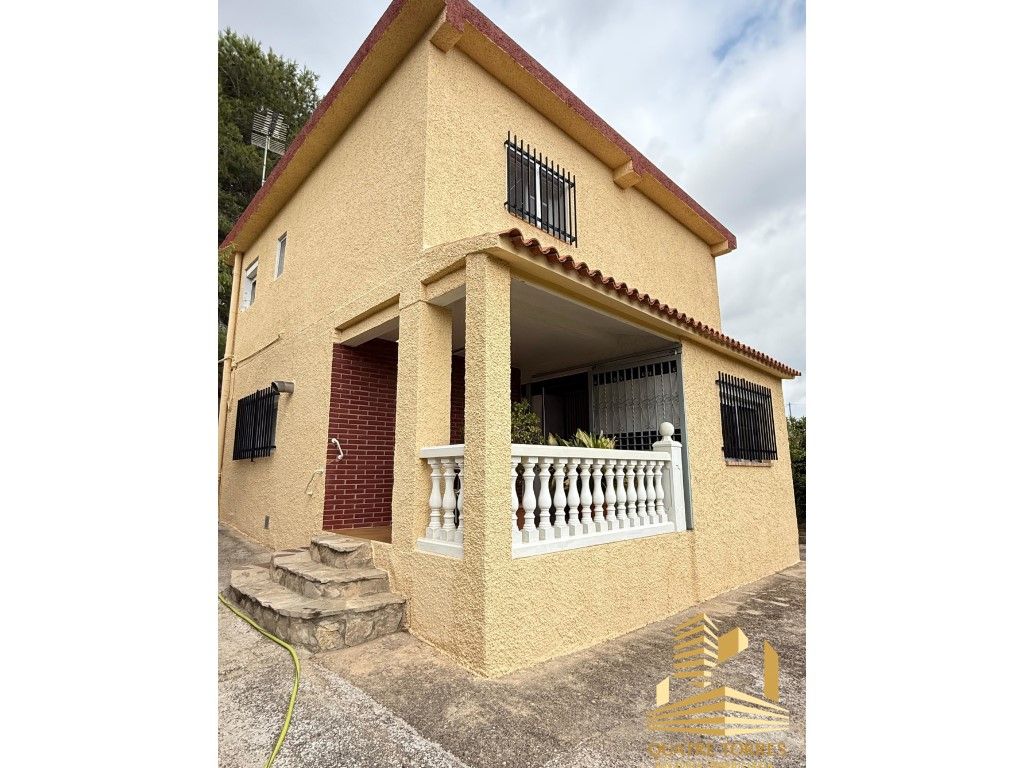 Exterior view of House or chalet for sale in Turís
