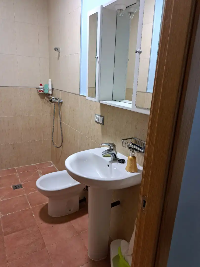 Baño de Casa o chalet en venta en O Carballiño   con Terraza, Amueblado y Balcón