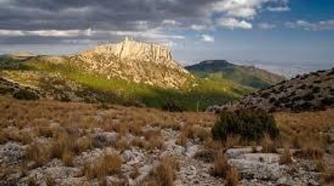 PARCELA   PARA CONSTUIR SU VIVIENDA IDEAL EN LAS AFUERAS DE ALEDO, immagine 4