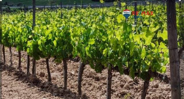 Terreno en Venta en Torre de Miguel Sesmero