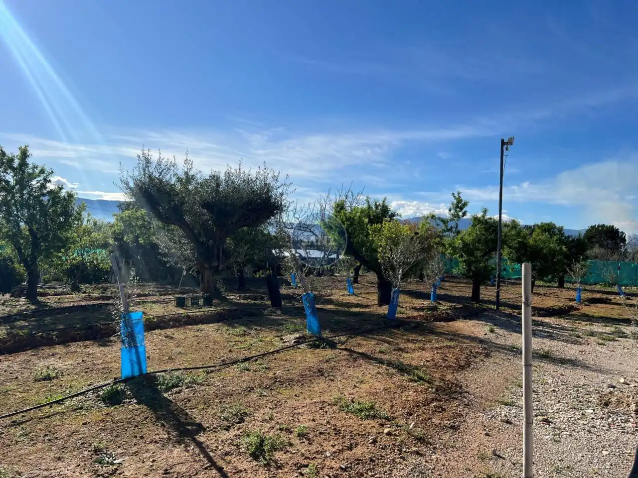 Xalet amb jardí en venda a Poligono Poligono 8, imagen 29
